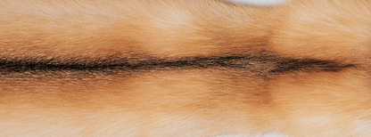 Xadrez | Caxemira, raposa | 130x200cm