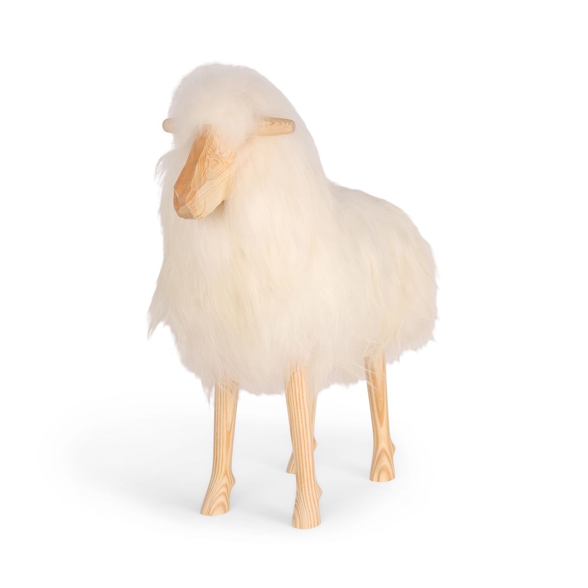 Ovelhas em pé exclusivas | Grande