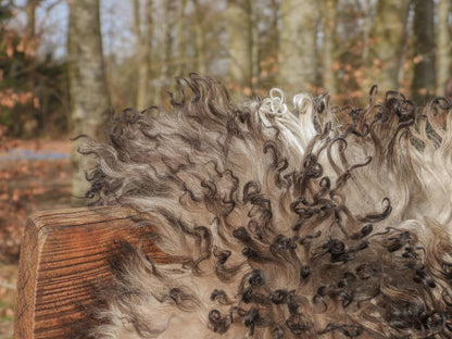 Pele de cordeiro | Encaracolado | Áustria | 90x60cm