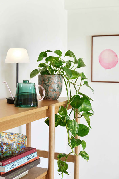 Hübsch Normu Potte Brown/Green (conjunto de 2)