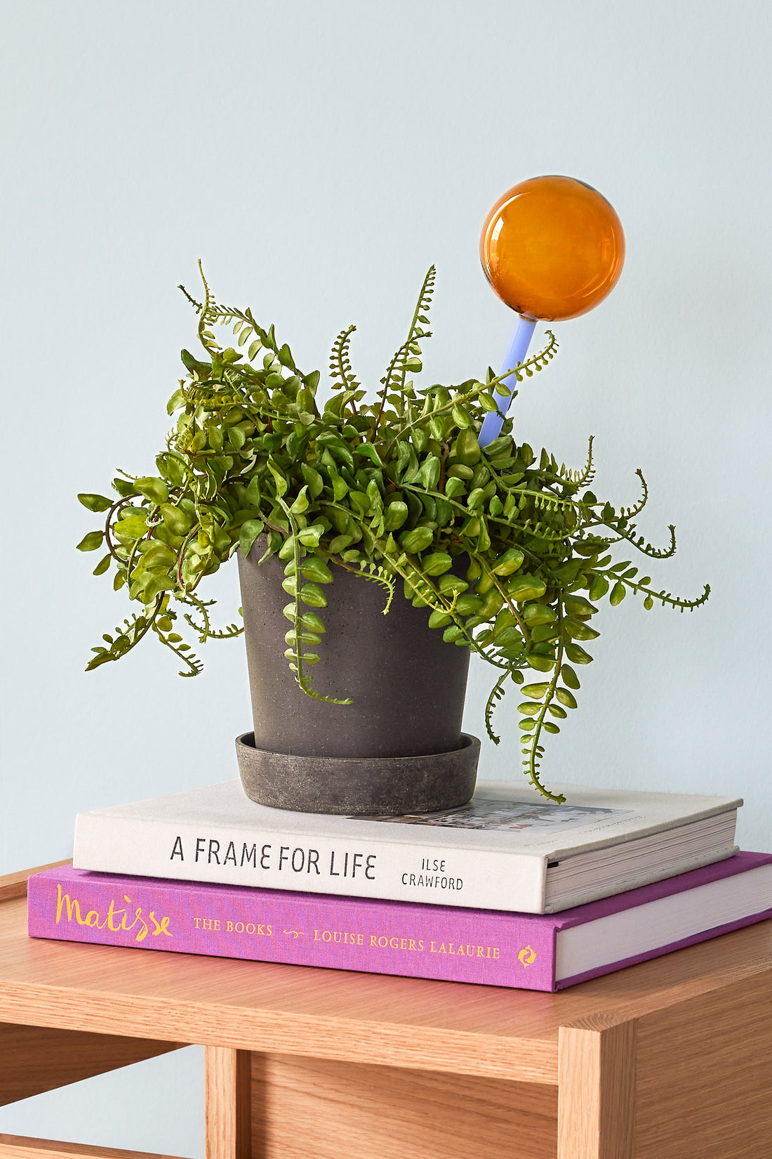 Pote de pódio pequeno preto (conjunto de 2) - Ø14xh16, Ø17xh19cm