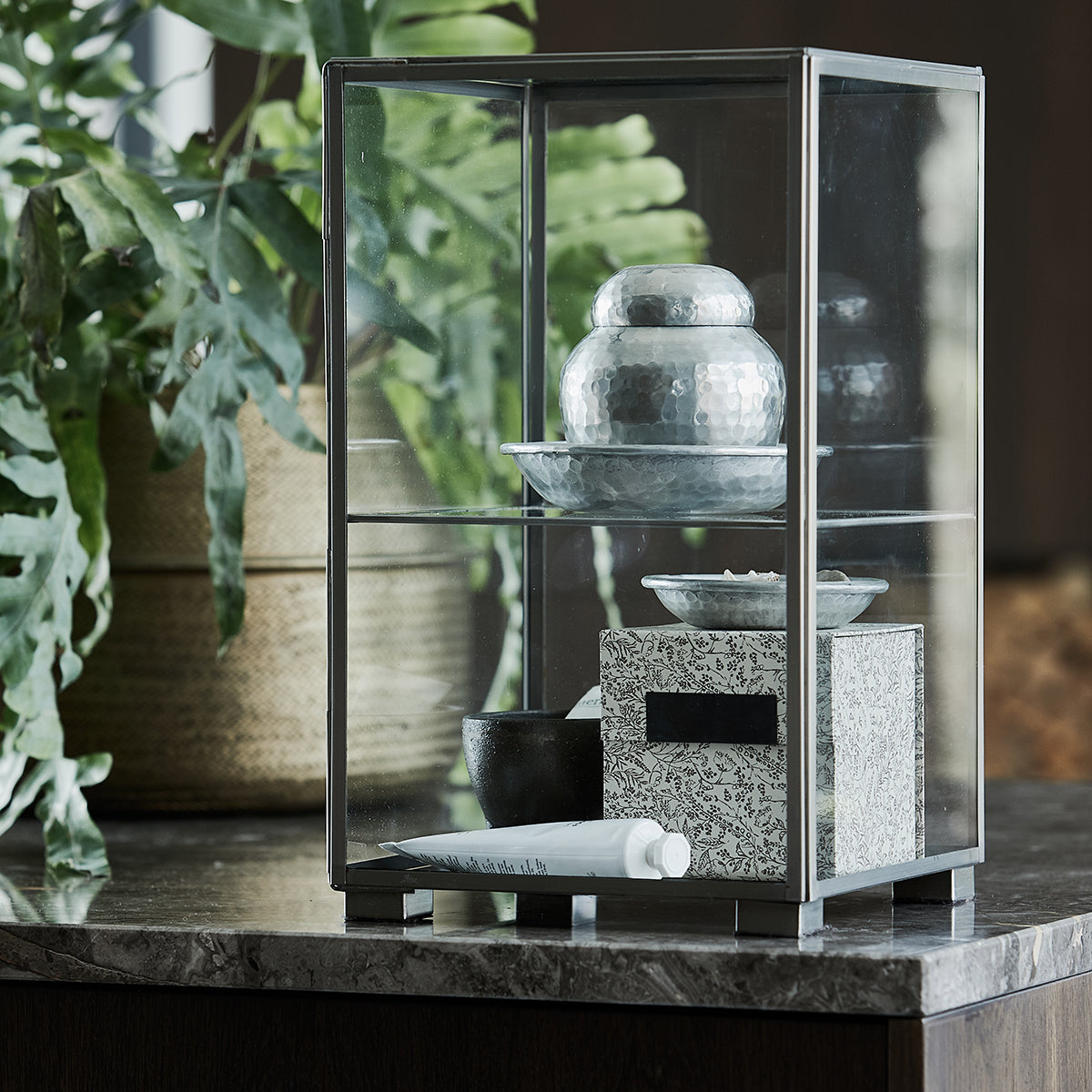 Médico da casa - armazenamento com tampa, galior, acabamento prateado - dia: 11,5 cm