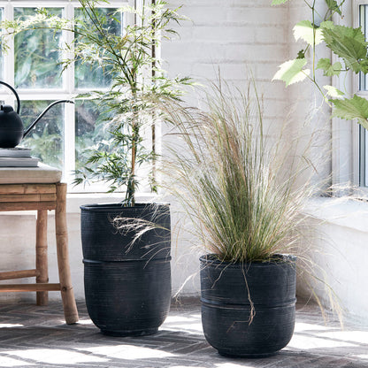 Médico da casa - Pote de ervas, HDground, concreto