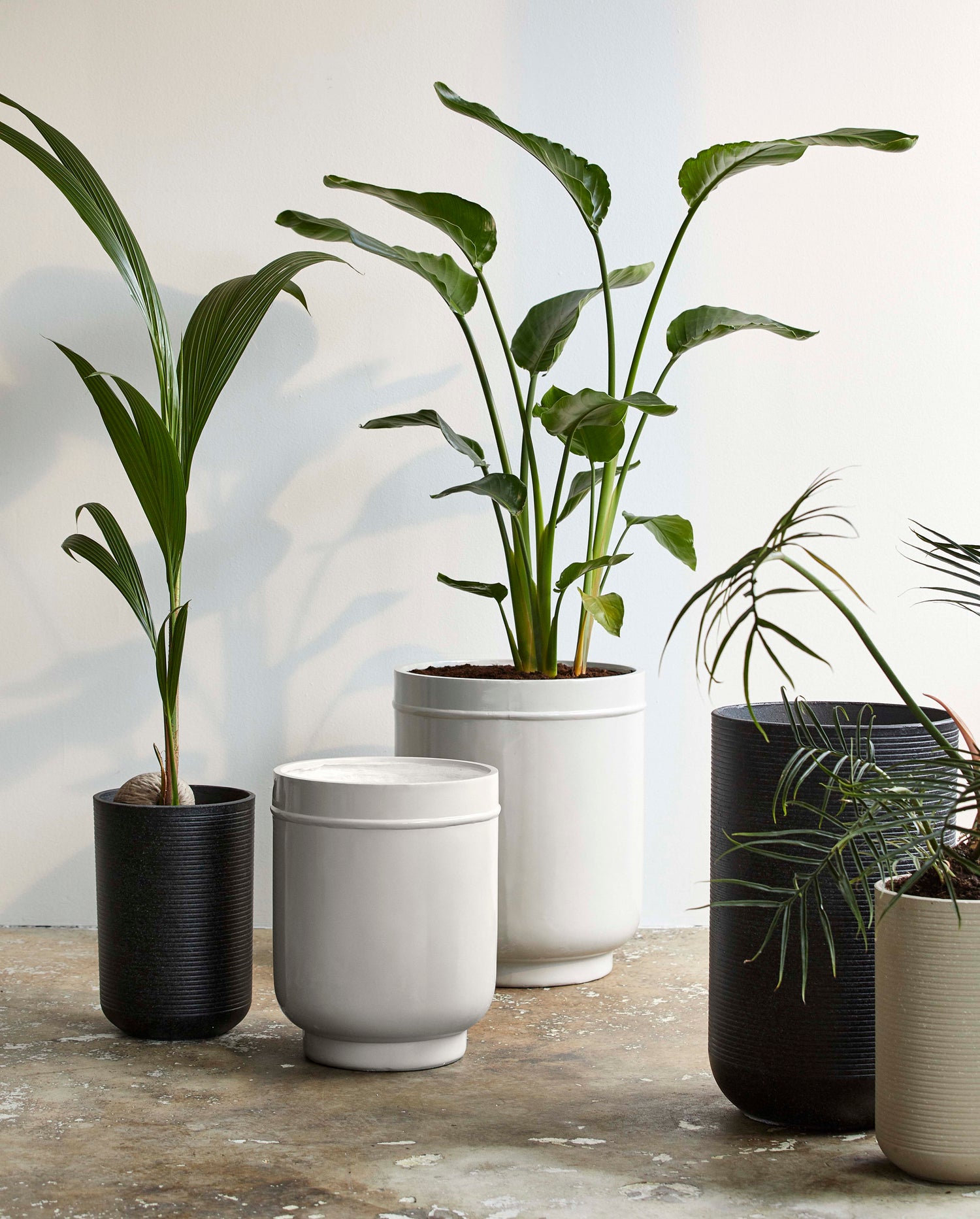 Eday Herbal Pots - 2 PCs. - H56/46 cm - cinza