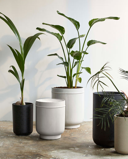 Eday Herbal Pots - 2 PCs. - H56/46 cm - cinza