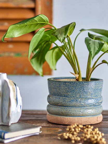 Coleção criativa Maizun Herbal Potted Hears, Blue, Terracota